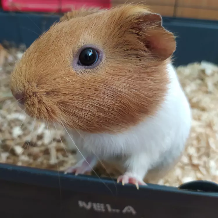 Skrawki_redakcja_Magda