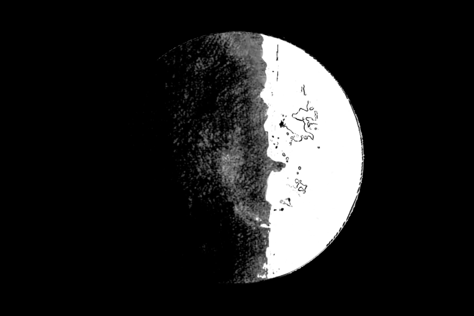 1000049842 Skrawki | pierzyna ubrudzona w słowa