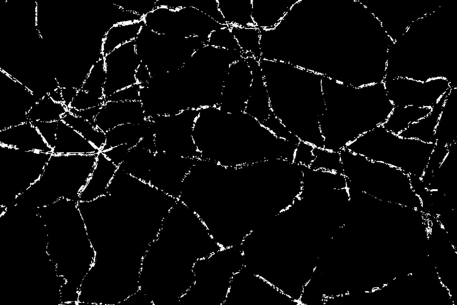 1000049860 Skrawki | Monolog Szaleńca