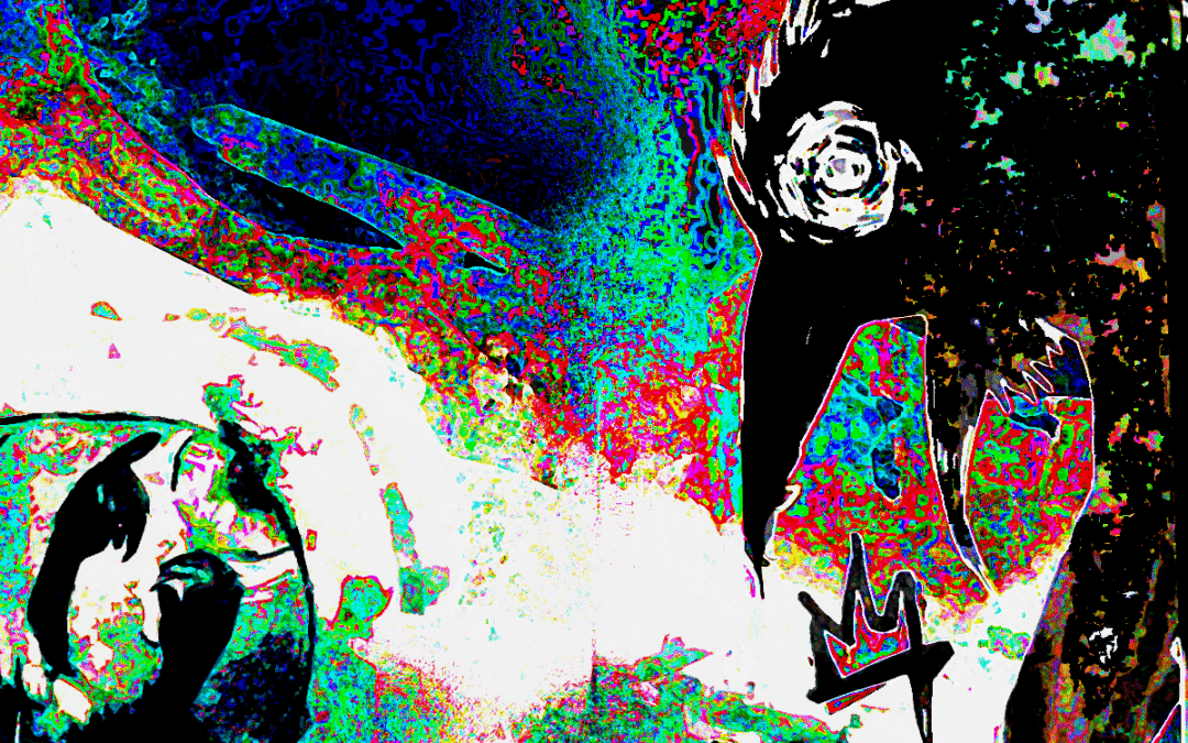 LOT IMIENNYCH PTAKÓW